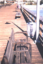 Bench