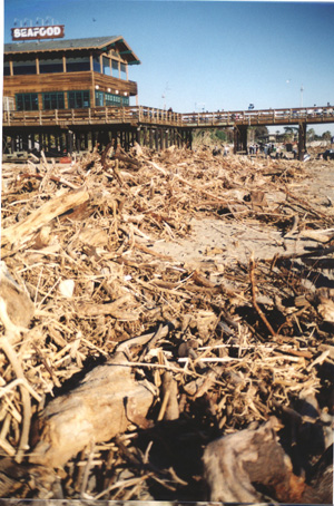 Debris2