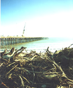 Debris4